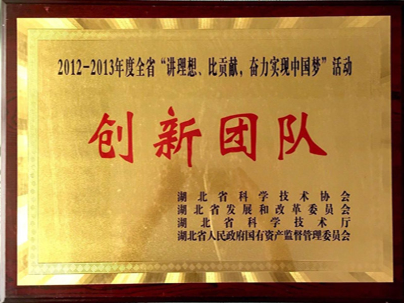 湖北省2012-2013年度“講理想，比貢獻(xiàn)”創(chuàng)新團(tuán)隊(duì).jpg